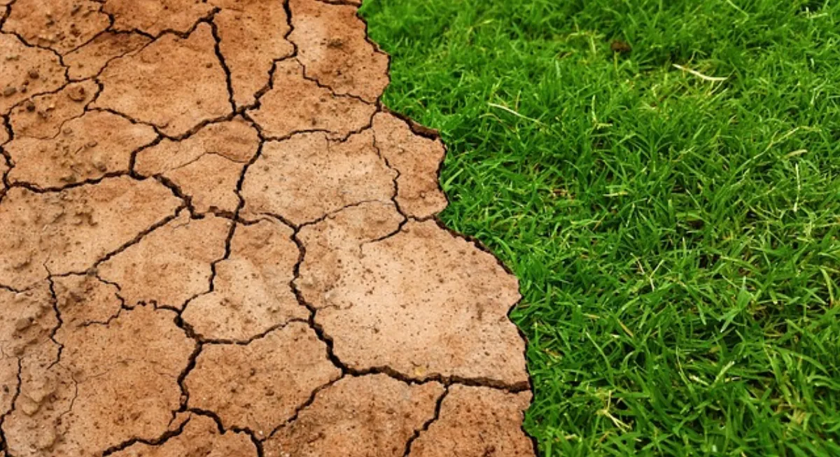 ESG a upały: adaptacja klimatyczna małej firmy latem 2026