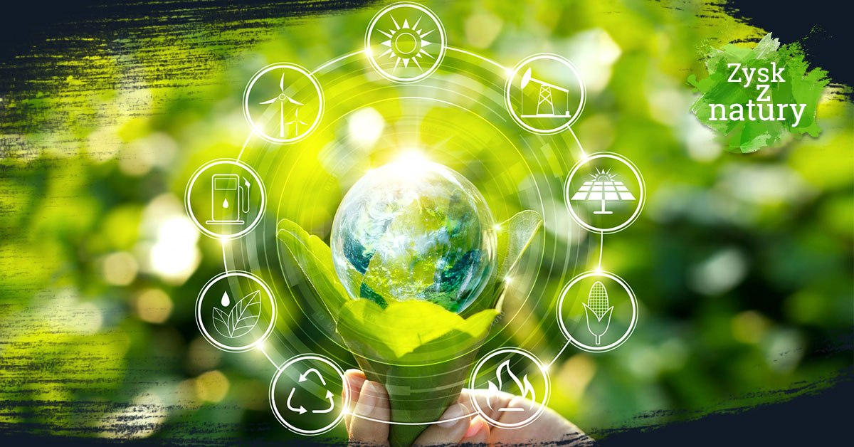 Ludzie pracujący razem w ogrodzie społecznościowym