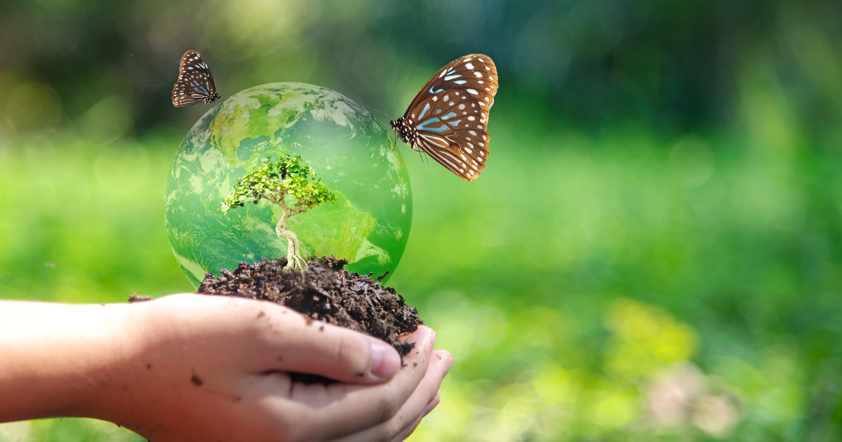 Pszczoły na kwitnącej łące i panele słoneczne