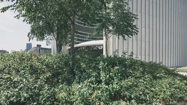Nowoczesny budynek z zazielenionym dachem porośniętym roślinnością w mieście
