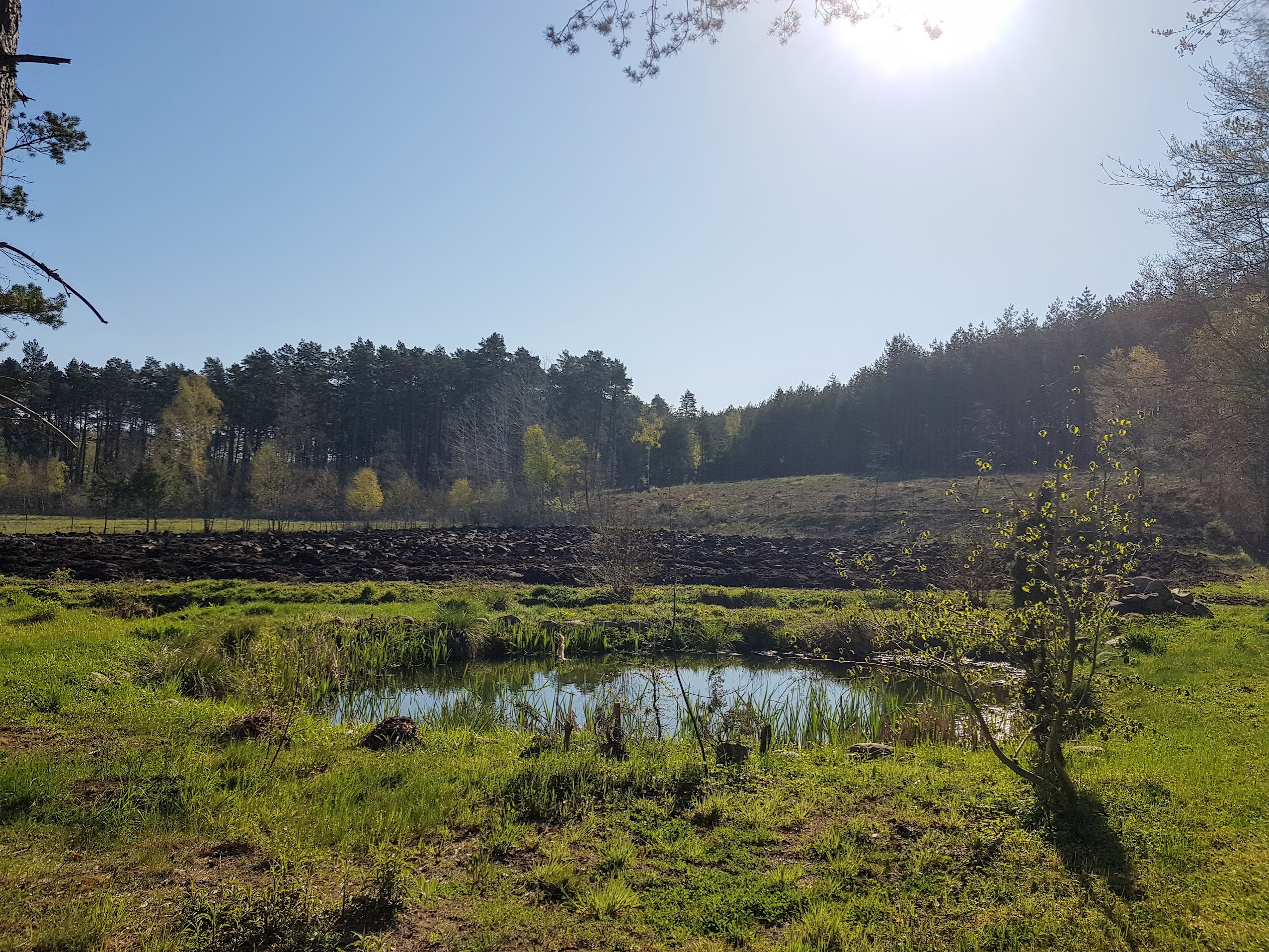 Galeria Farmageddon – 20230509_083208