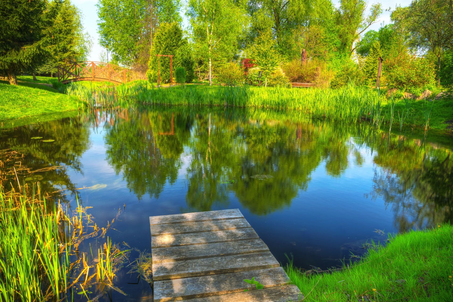 Akwakultura – naturalny staw z czystą wodą i zadrzewieniem
