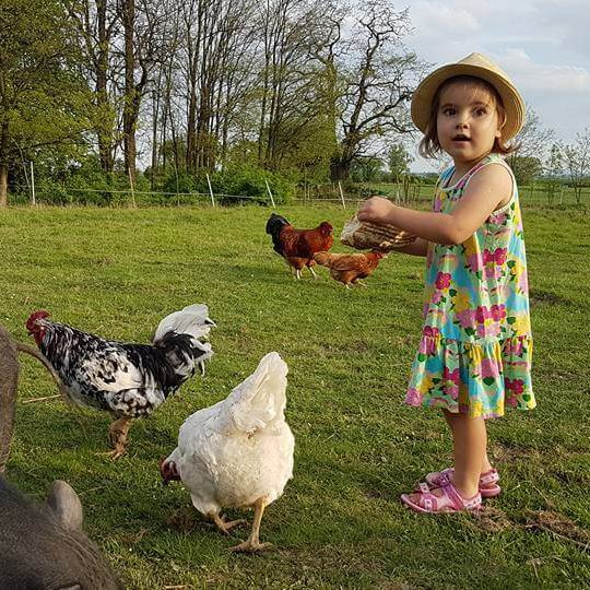 Agroturystyka i edukacja – rodzinna atmosfera, warsztaty i doświadczenia na farmie